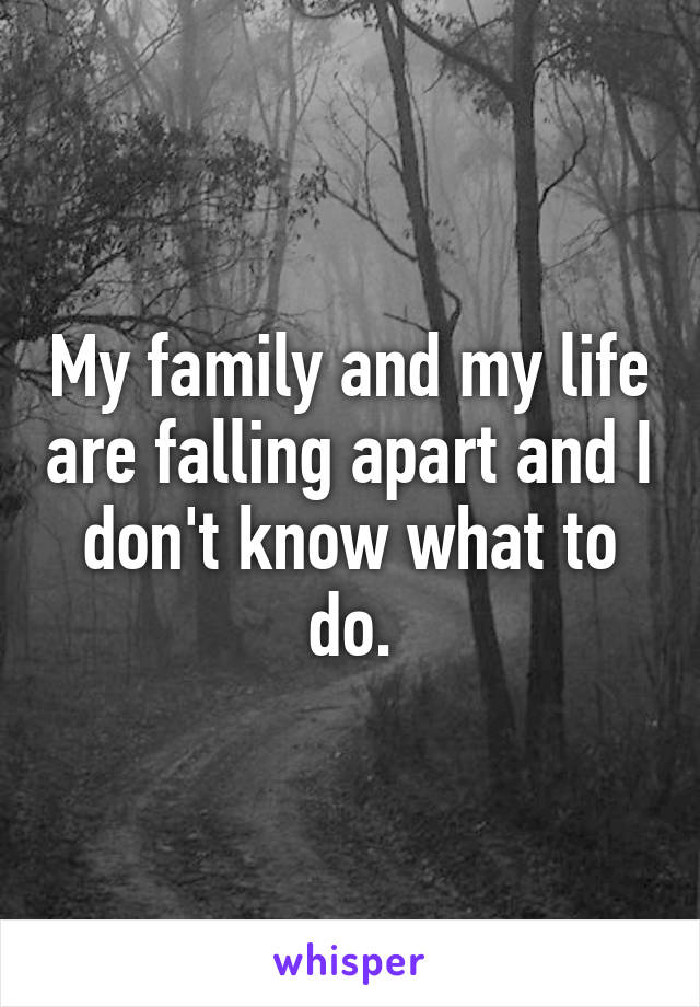 My family and my life are falling apart and I don't know what to do.