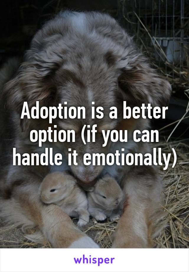 Adoption is a better option (if you can handle it emotionally)
