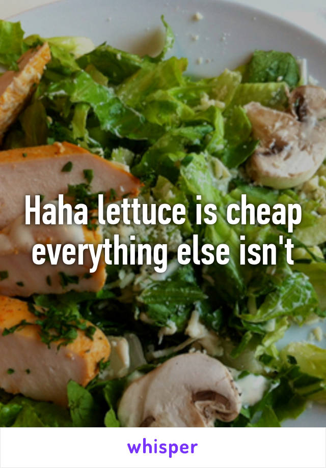 Haha lettuce is cheap everything else isn't