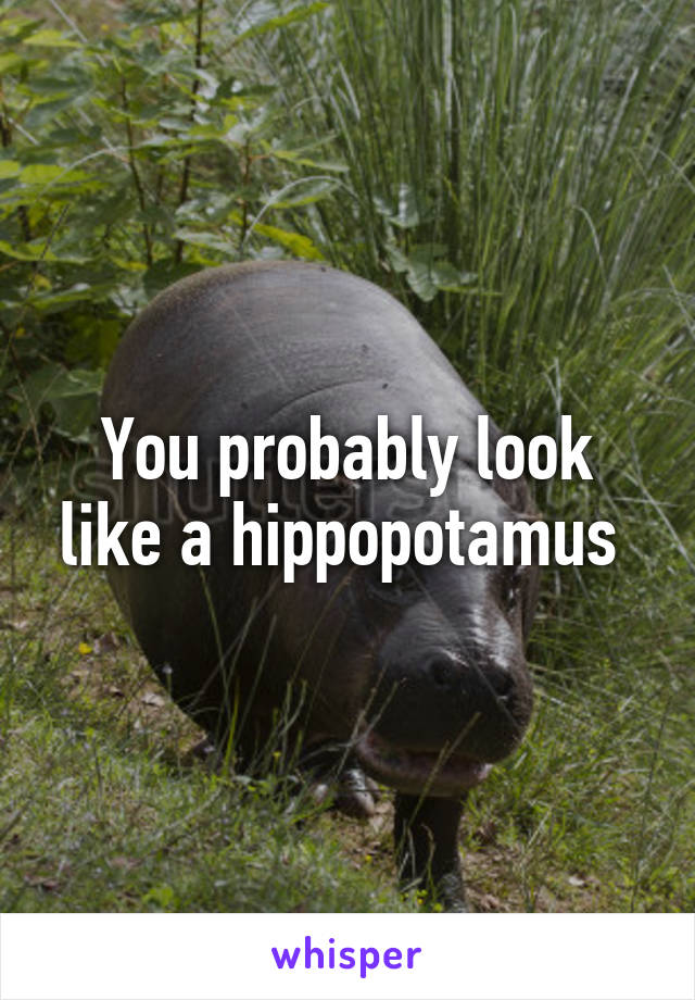 You probably look like a hippopotamus 