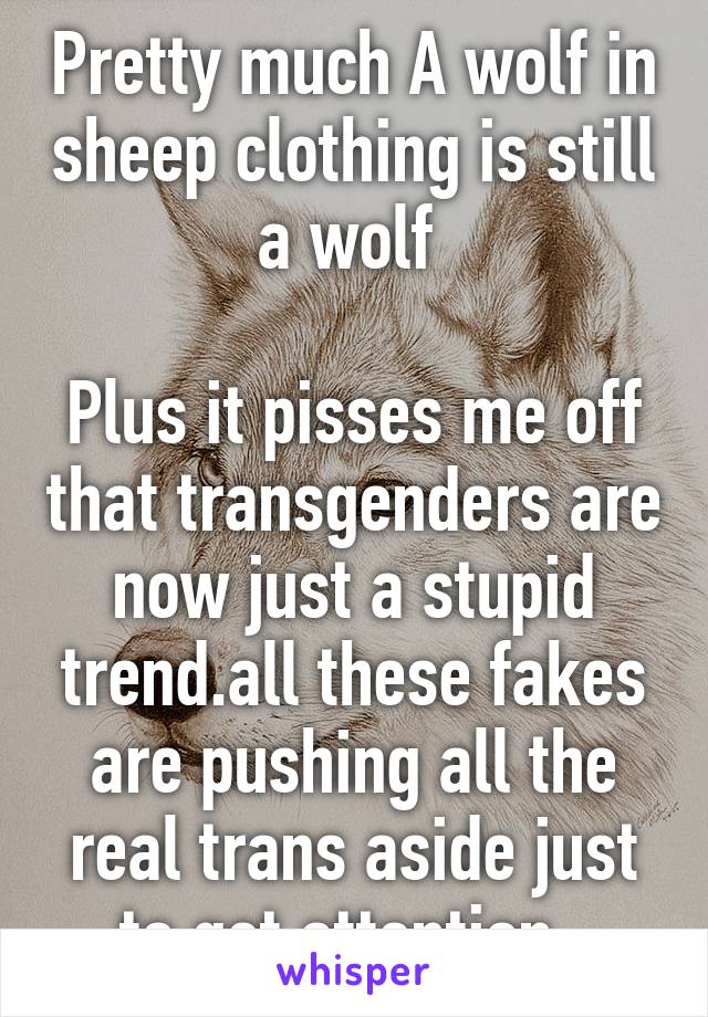 Pretty much A wolf in sheep clothing is still a wolf 

Plus it pisses me off that transgenders are now just a stupid trend.all these fakes are pushing all the real trans aside just to get attention .