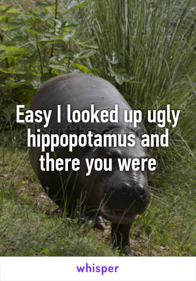 Easy I looked up ugly hippopotamus and there you were