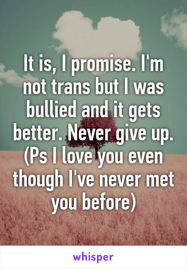 It is, I promise. I'm not trans but I was bullied and it gets better. Never give up. (Ps I love you even though I've never met you before)