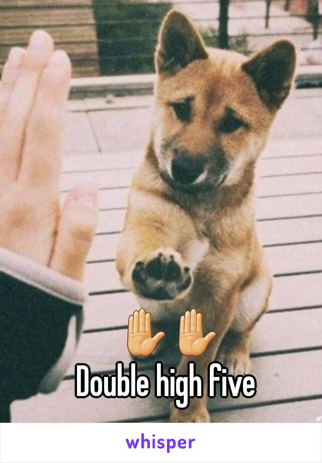 ✋✋
Double high five 