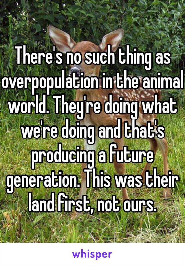 There's no such thing as overpopulation in the animal world. They're doing what we're doing and that's producing a future generation. This was their land first, not ours. 