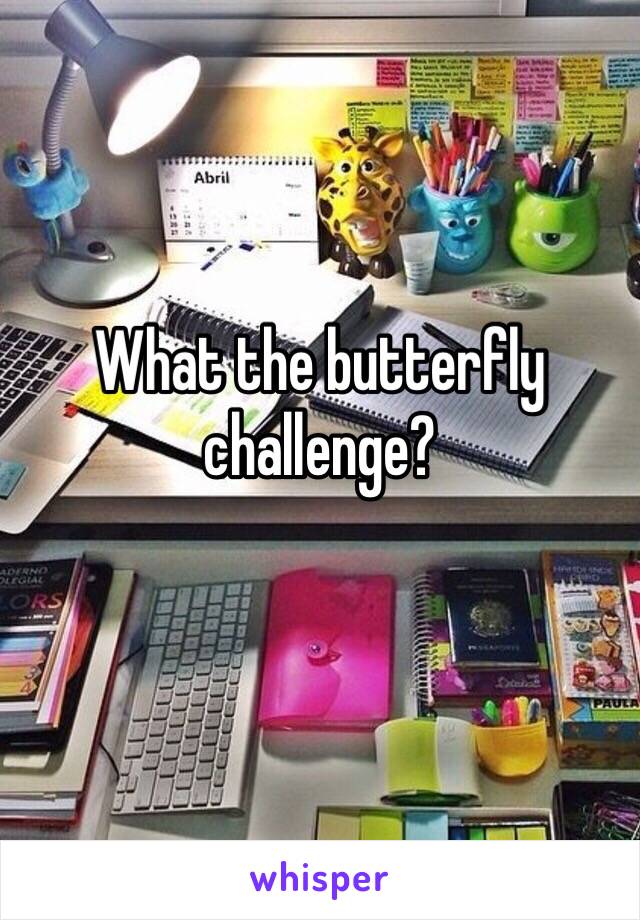 What the butterfly challenge?
