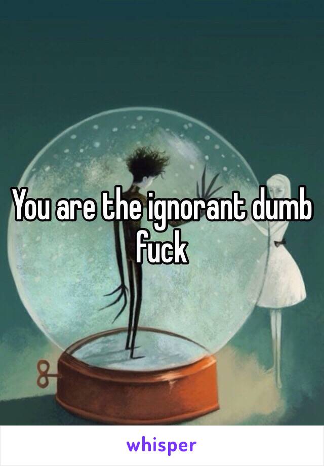You are the ignorant dumb fuck