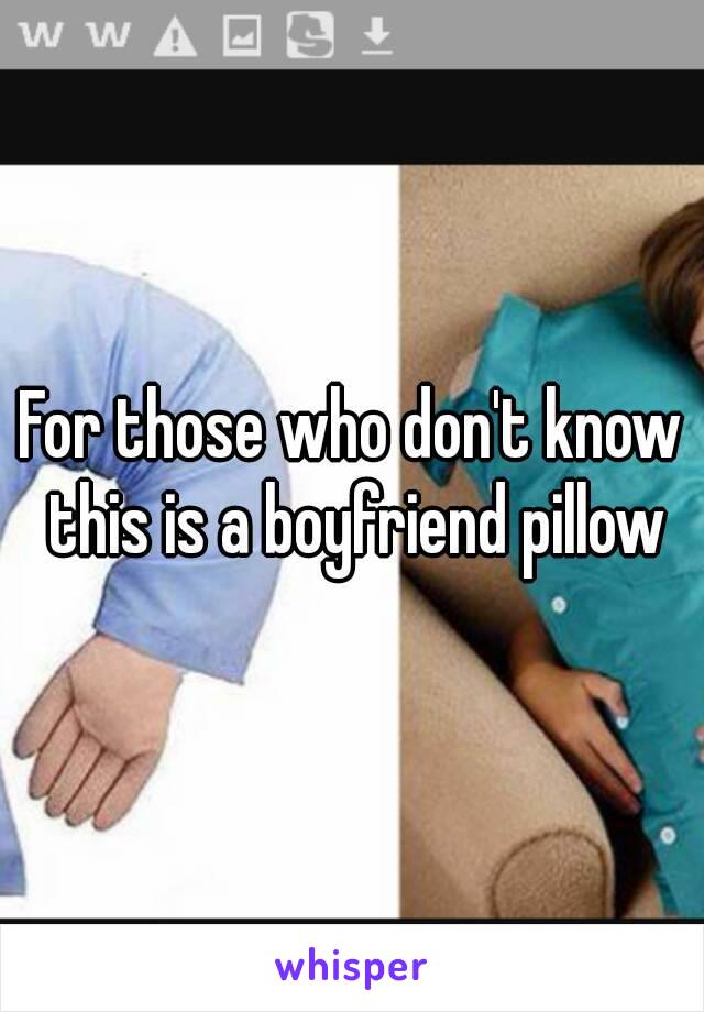 For those who don't know this is a boyfriend pillow