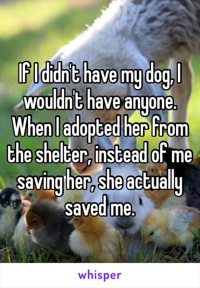 If I didn't have my dog, I wouldn't have anyone. When I adopted her from the shelter, instead of me saving her, she actually saved me.