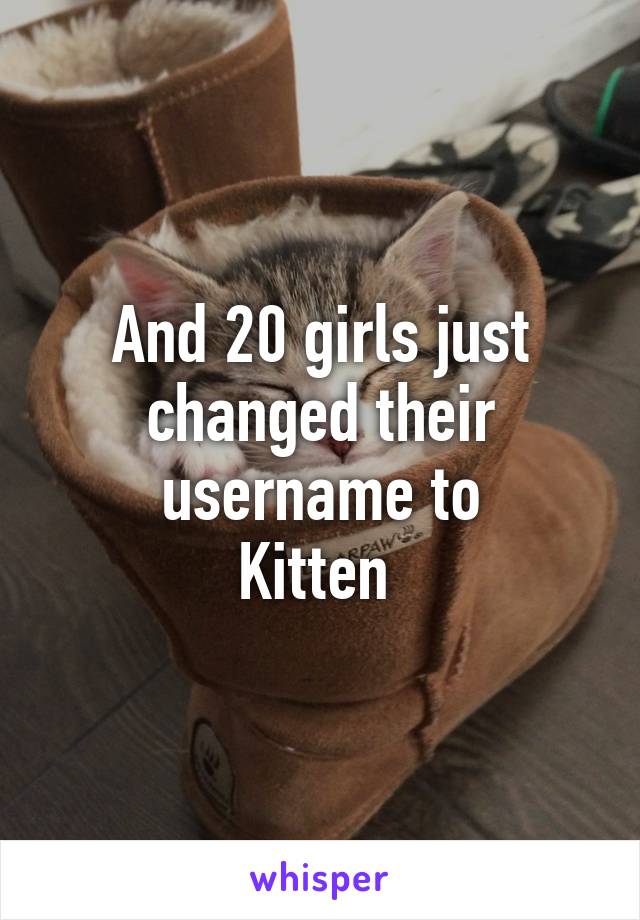 And 20 girls just changed their username to
Kitten 