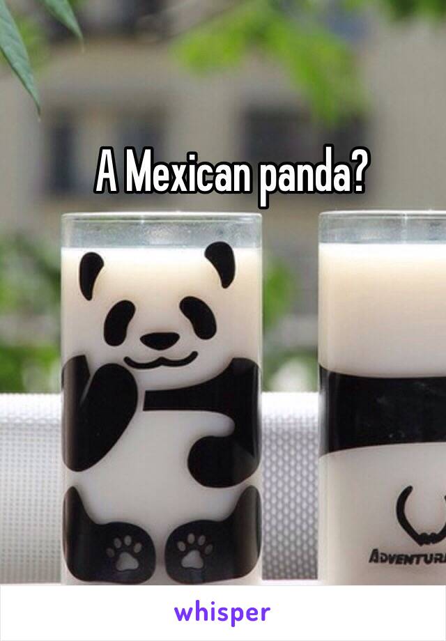 A Mexican panda?