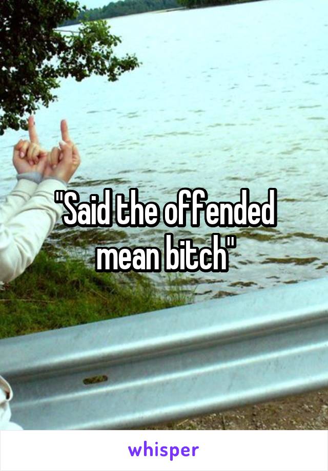 "Said the offended mean bitch"