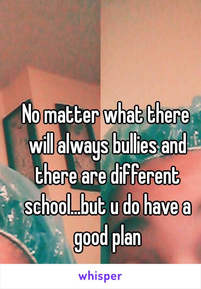 No matter what there will always bullies and there are different school...but u do have a good plan