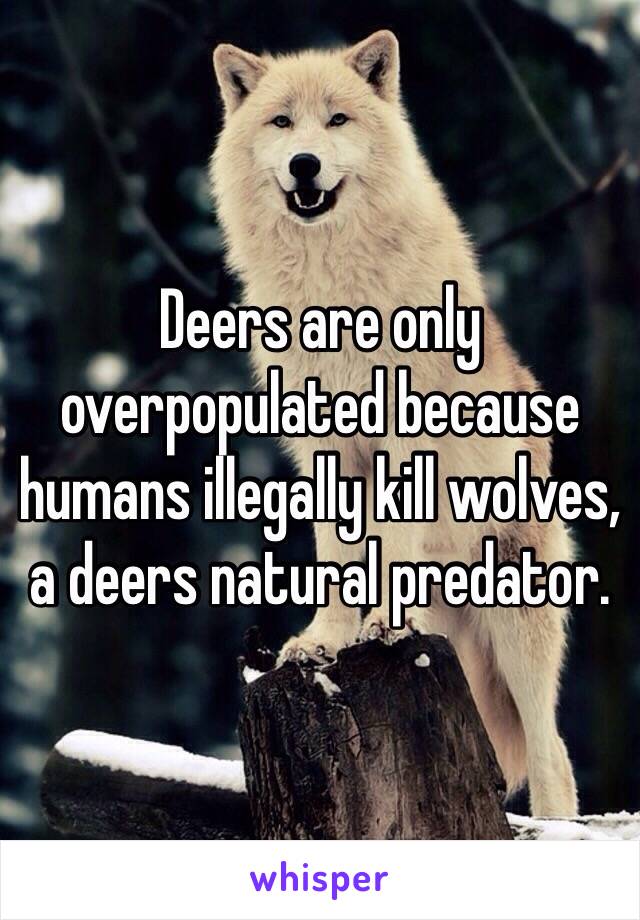 Deers are only overpopulated because humans illegally kill wolves, a deers natural predator.  