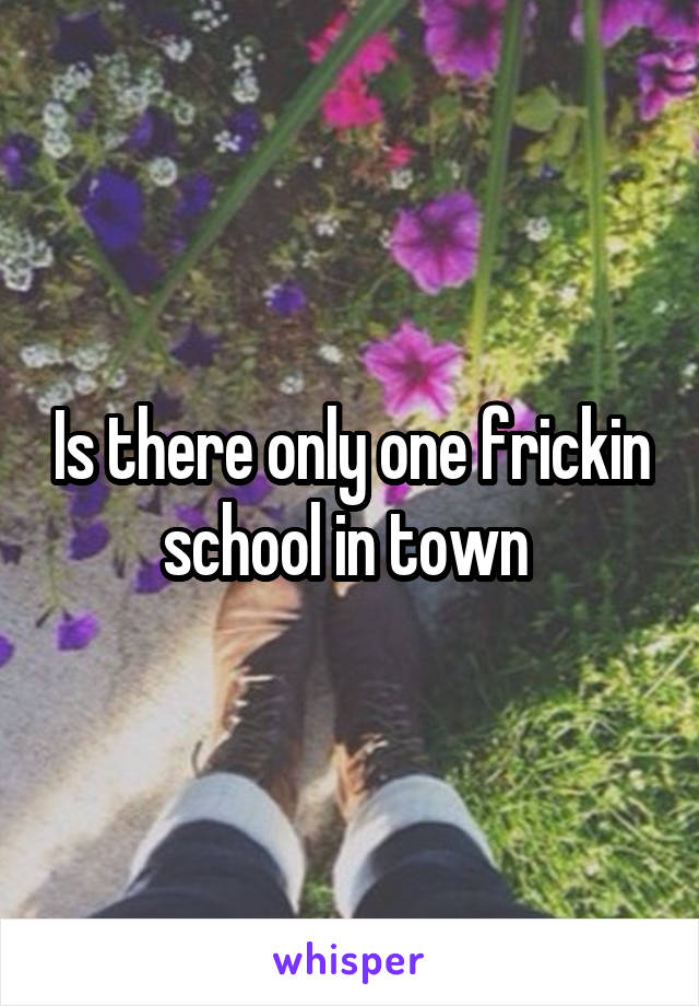 Is there only one frickin school in town 