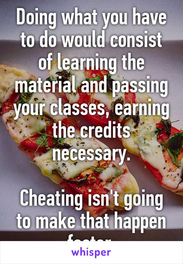 Doing what you have to do would consist of learning the material and passing your classes, earning the credits necessary.

Cheating isn't going to make that happen faster.