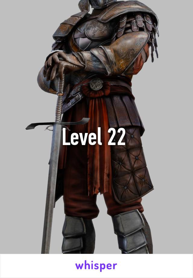 Level 22 