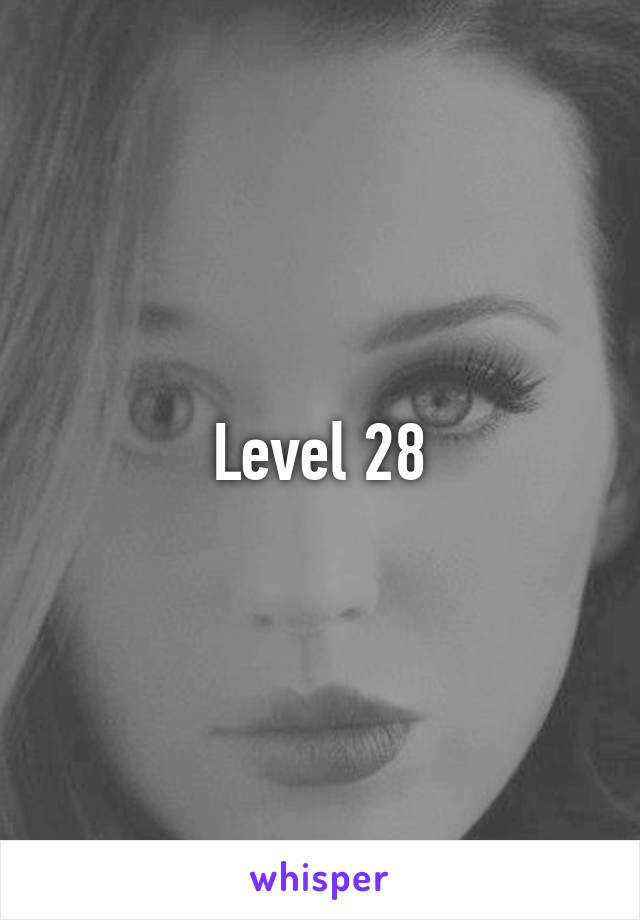 Level 28