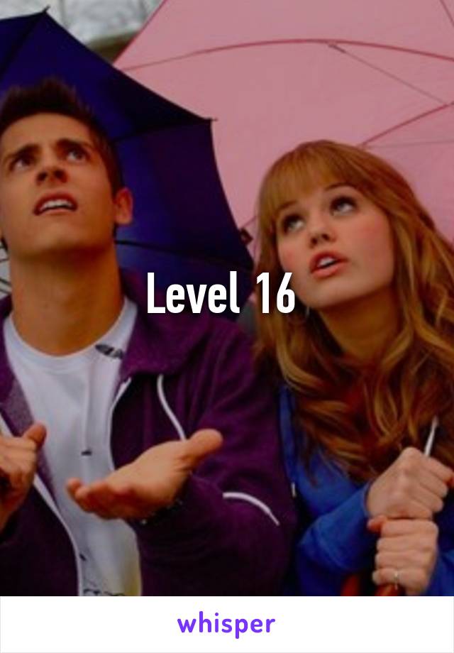 Level 16 
