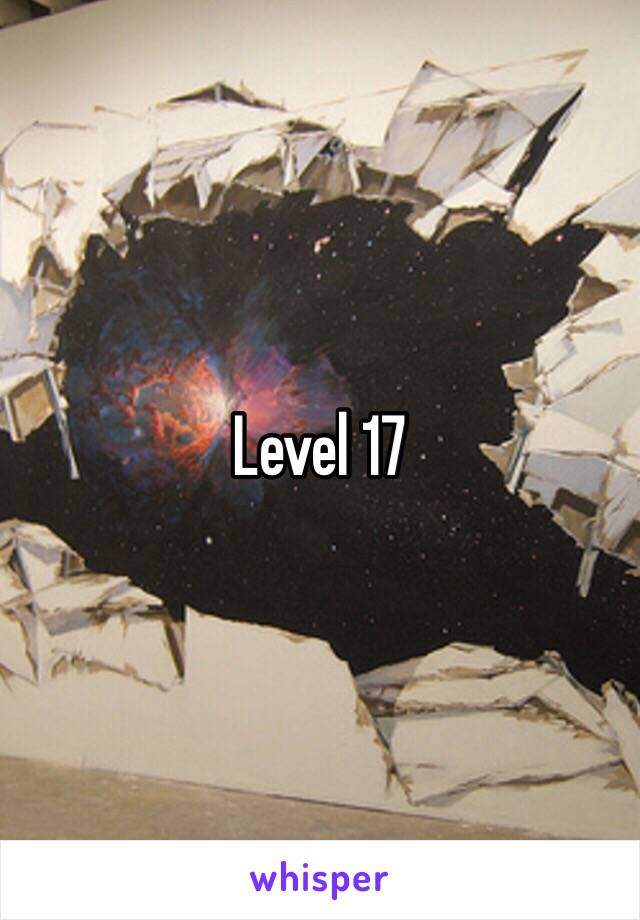 Level 17