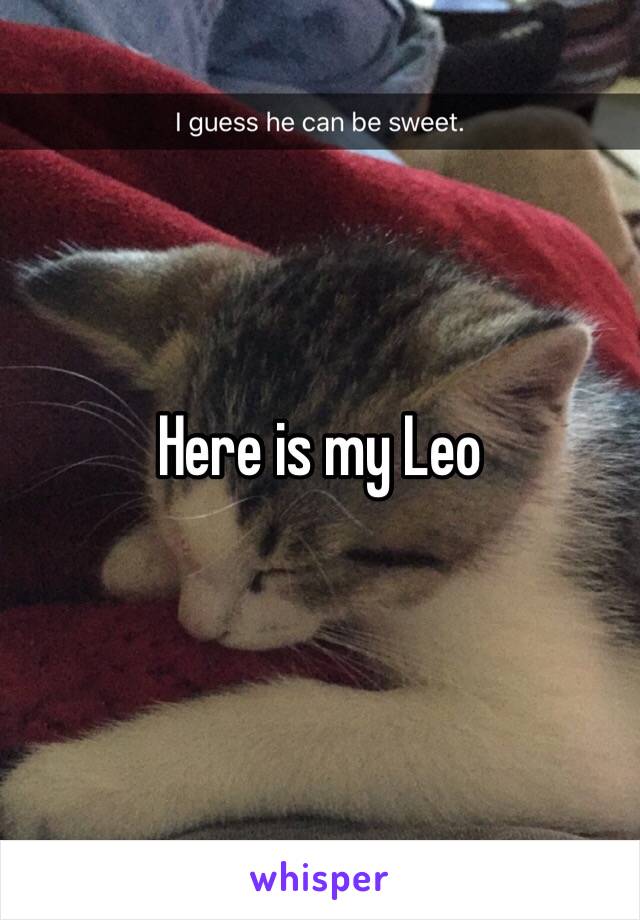 Here is my Leo