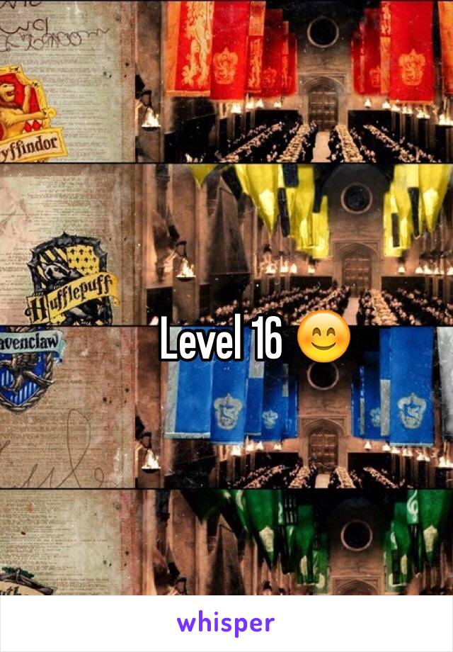 Level 16 😊