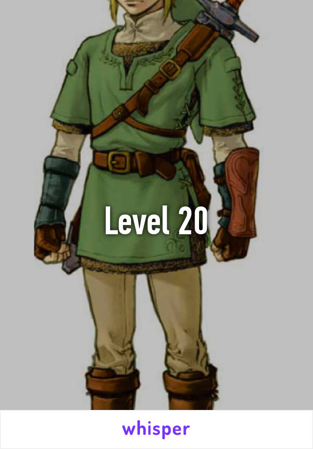 Level 20