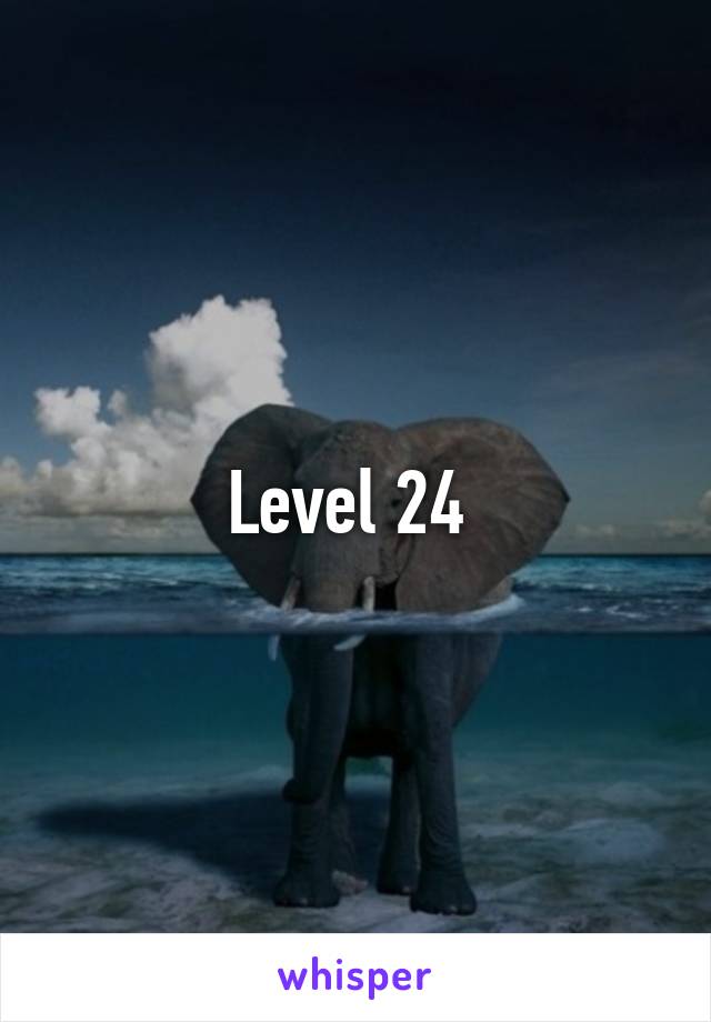 Level 24 