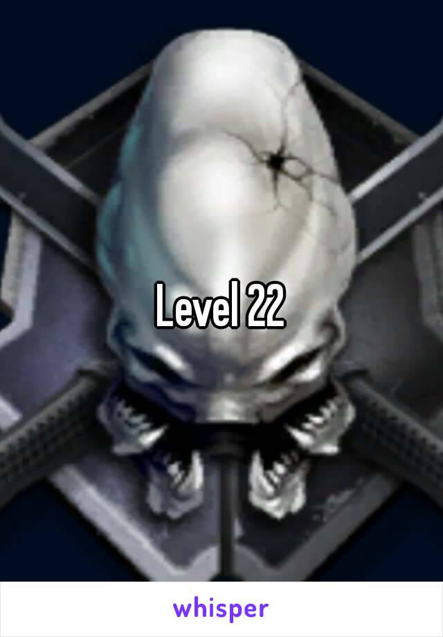 Level 22