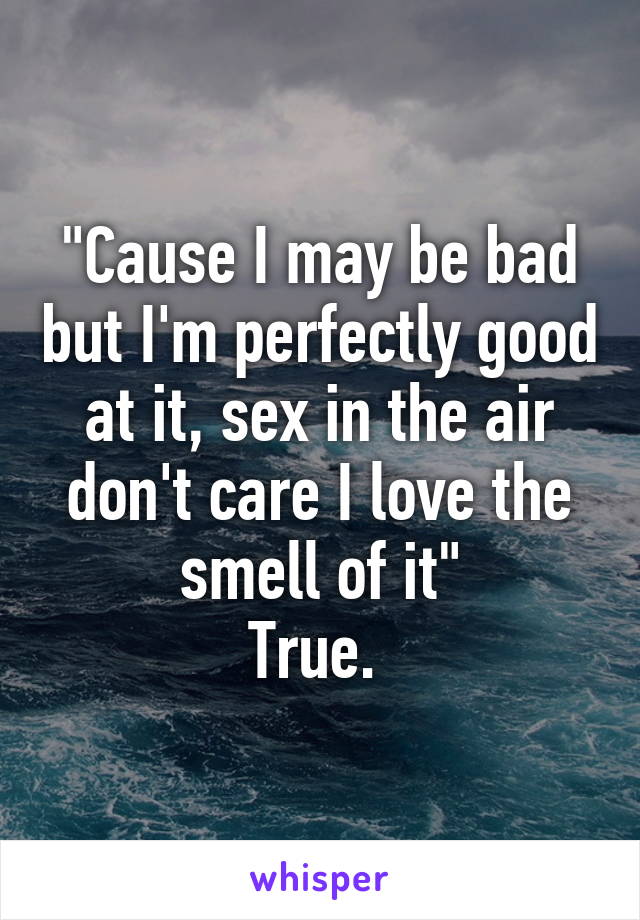 "Cause I may be bad but I'm perfectly good at it, sex in the air don't care I love the smell of it"
True. 