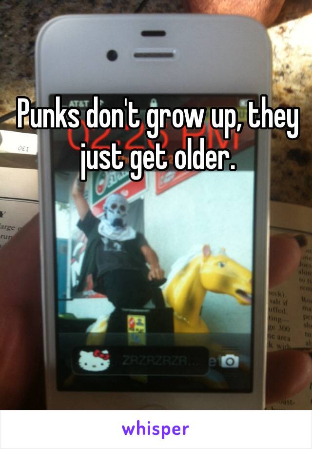 Punks don't grow up, they just get older. 