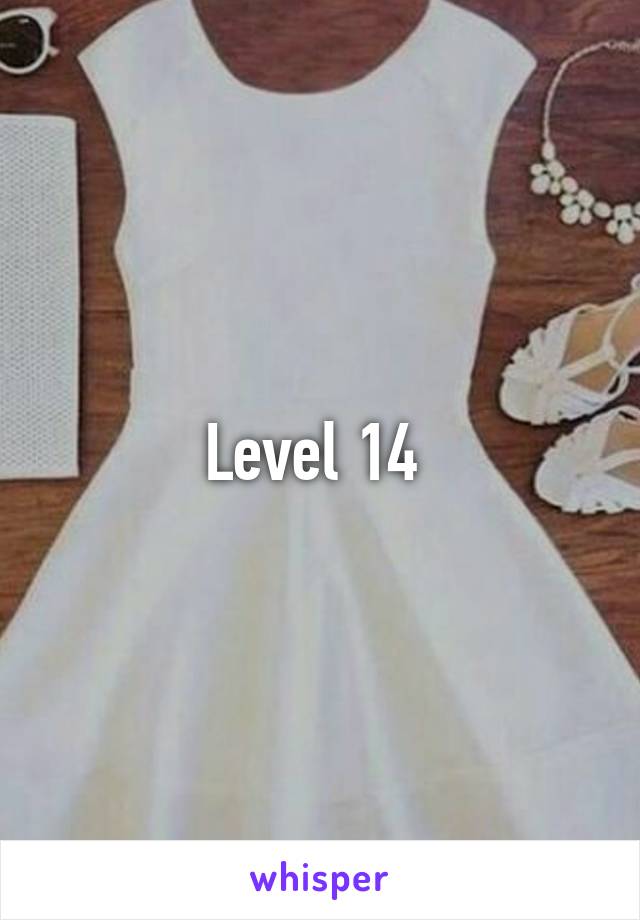 Level 14 