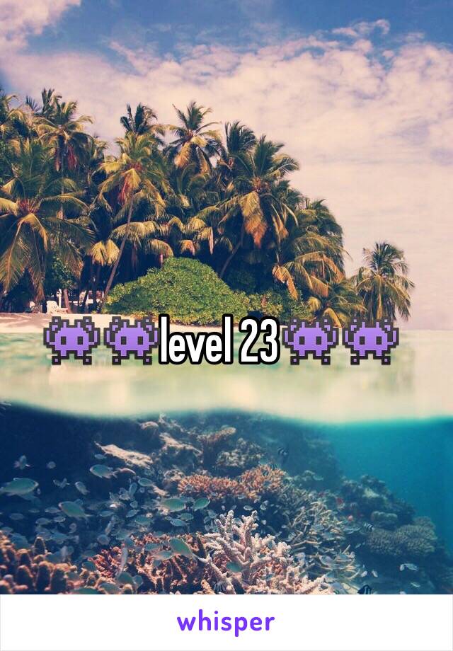 👾👾level 23👾👾