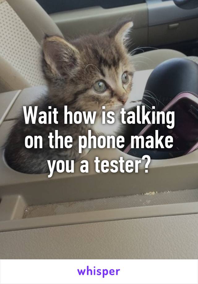 Wait how is talking on the phone make you a tester?