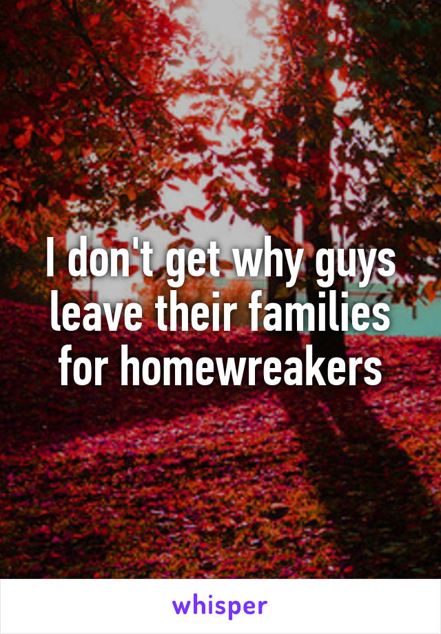 i-don-t-get-why-guys-leave-their-families-for-homewreakers