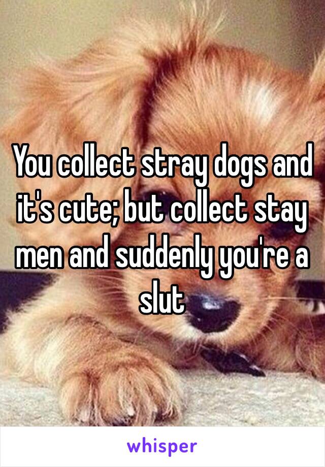 You collect stray dogs and it's cute; but collect stay men and suddenly you're a slut