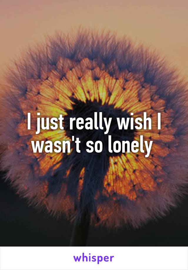 I just really wish I wasn't so lonely 