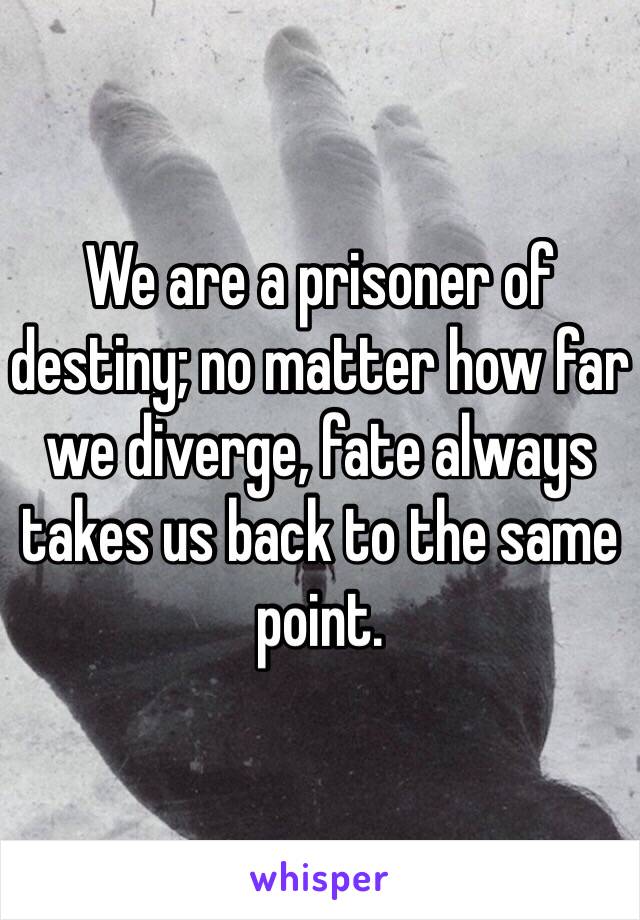 We are a prisoner of destiny; no matter how far we diverge, fate always takes us back to the same point.
