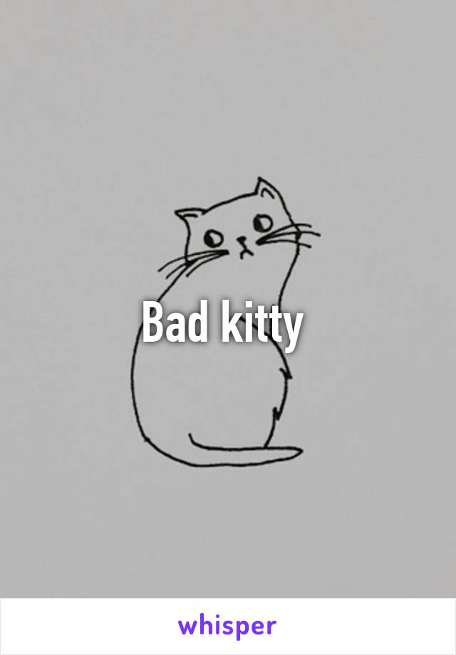 Bad kitty 