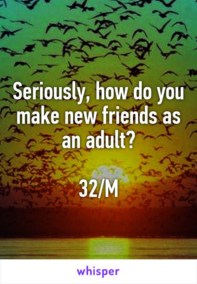 Seriously, how do you make new friends as an adult?

32/M