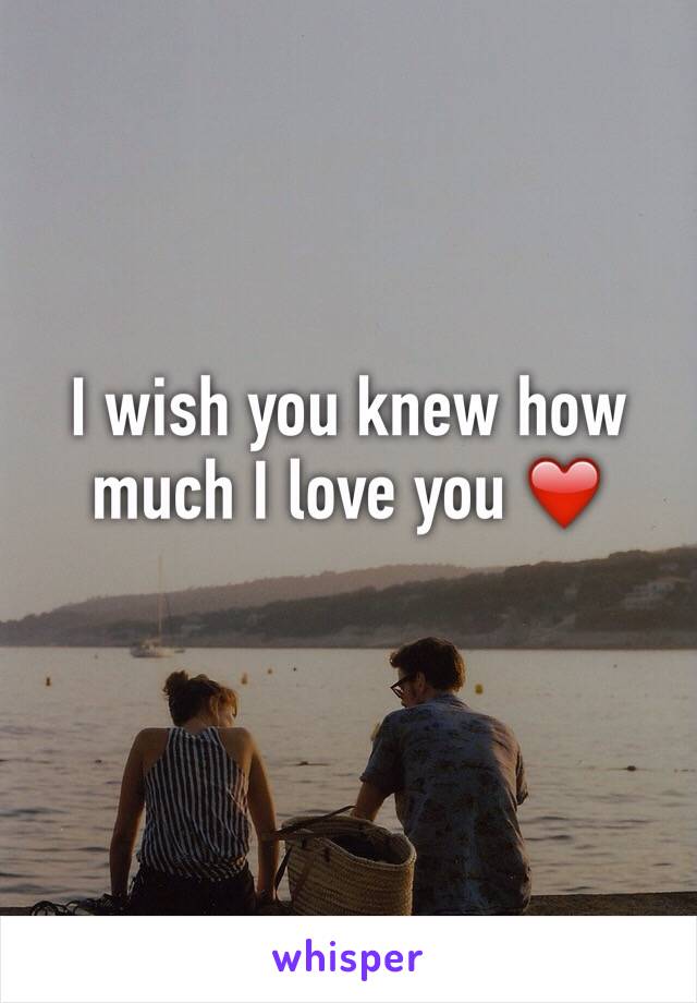 I wish you knew how much I love you ❤️
