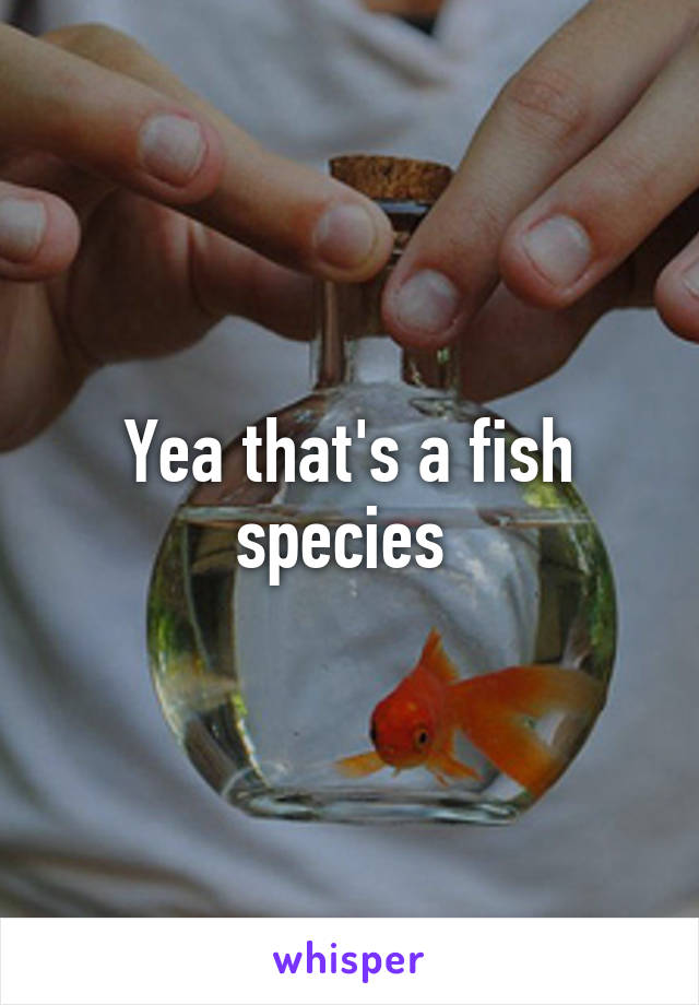 Yea that's a fish species 