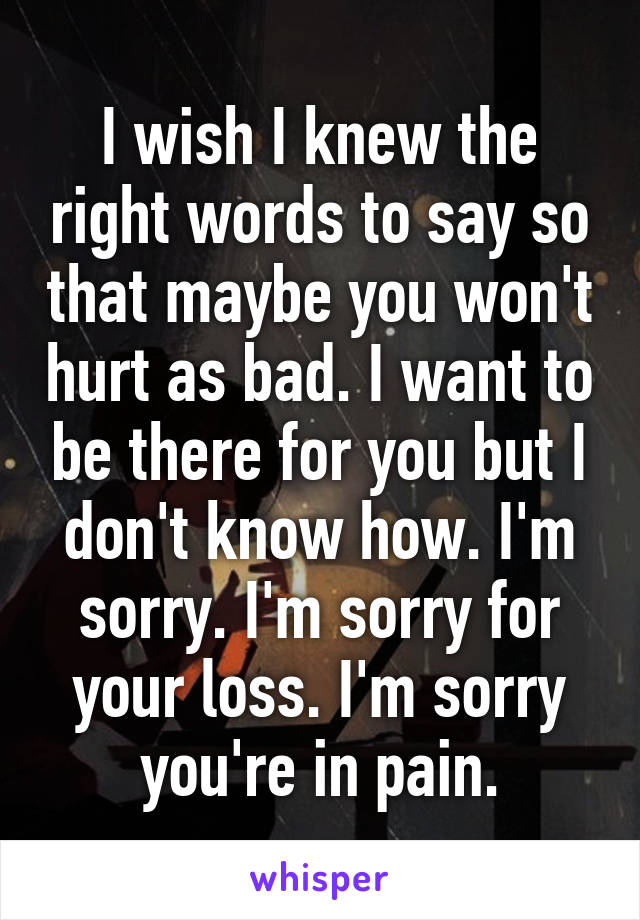 I wish I knew the right words to say so that maybe you won't hurt as bad. I want to be there for you but I don't know how. I'm sorry. I'm sorry for your loss. I'm sorry you're in pain.
