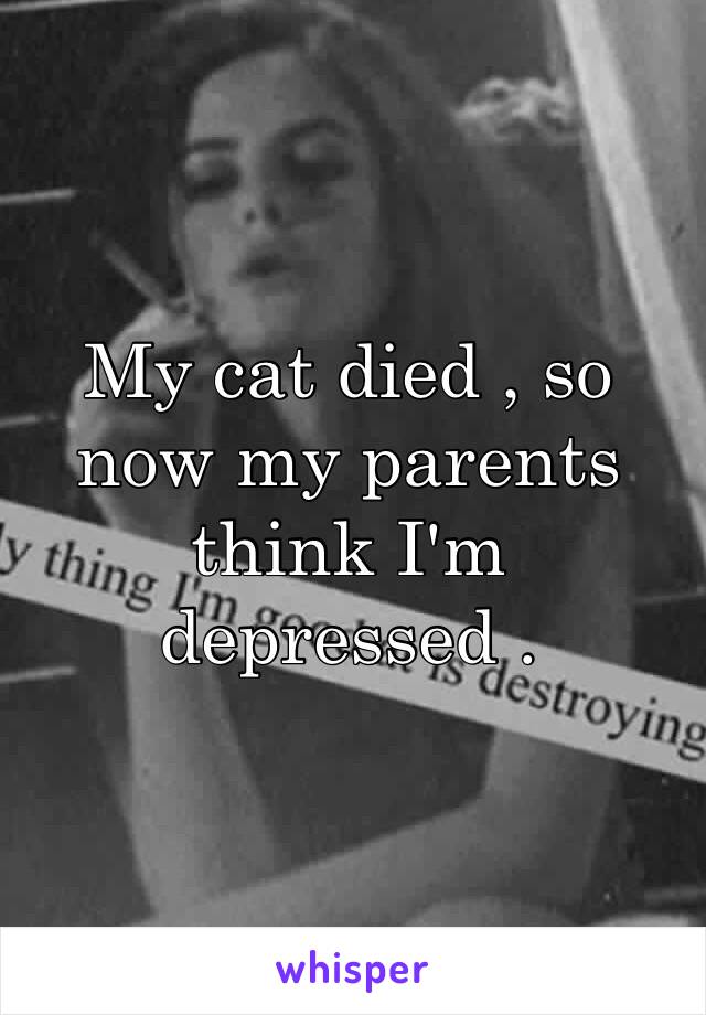 My cat died , so now my parents think I'm depressed . 