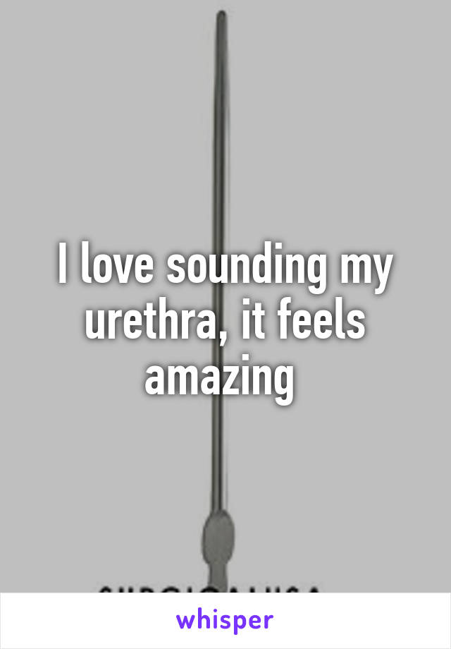 I love sounding my urethra, it feels amazing 
