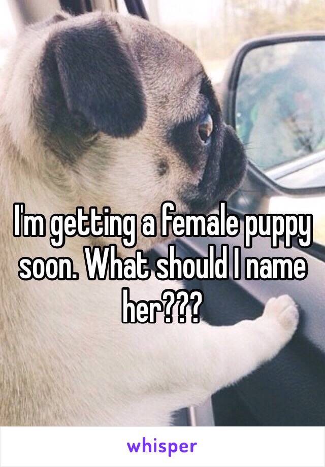 I'm getting a female puppy soon. What should I name her???