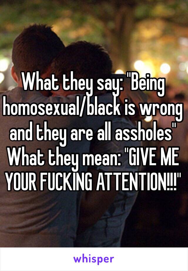 What they say: "Being homosexual/black is wrong and they are all assholes"
What they mean: "GIVE ME YOUR FUCKING ATTENTION!!!"