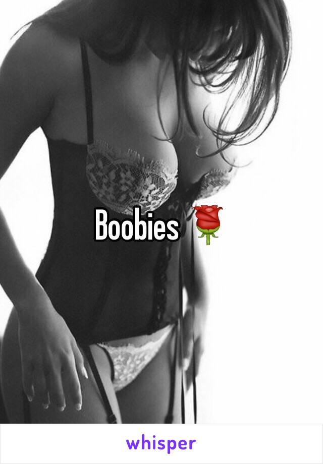 Boobies 🌹