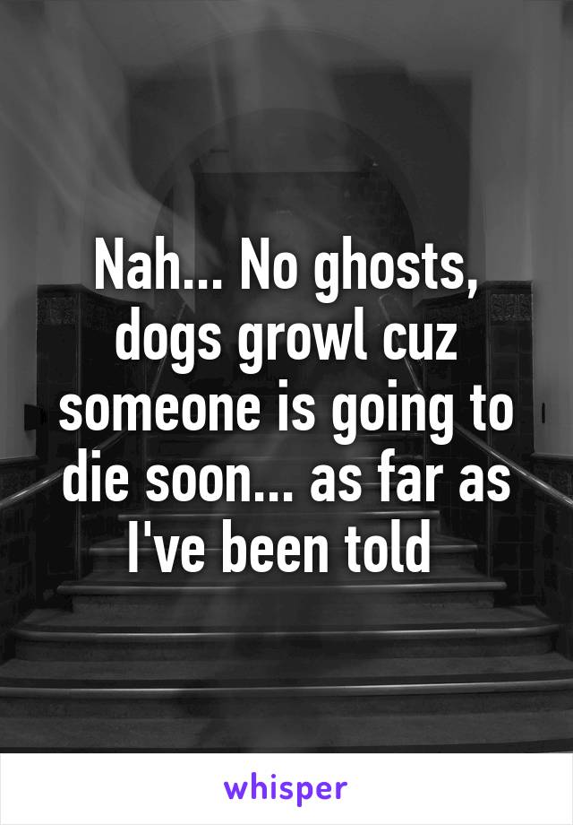 Nah... No ghosts, dogs growl cuz someone is going to die soon... as far as I've been told 