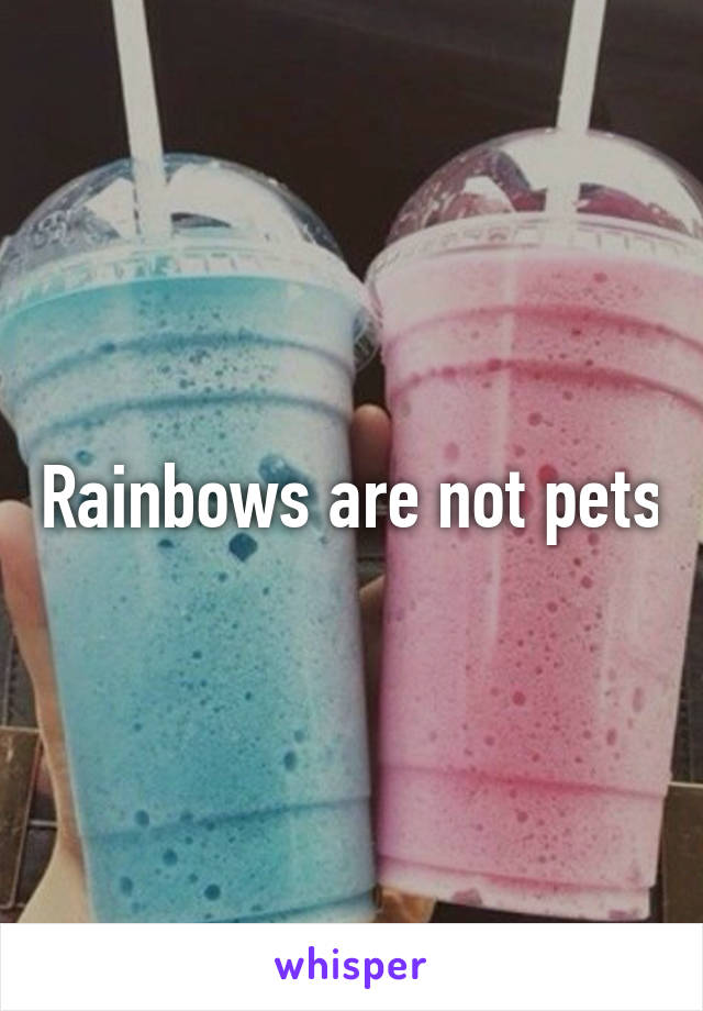 Rainbows are not pets